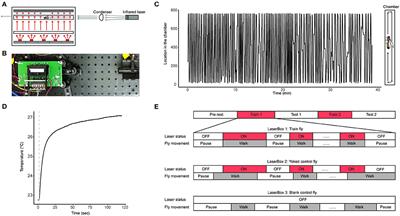 Anti-instinctive Learning Behavior Revealed by Locomotion-Triggered Mild Heat Stress in Drosophila